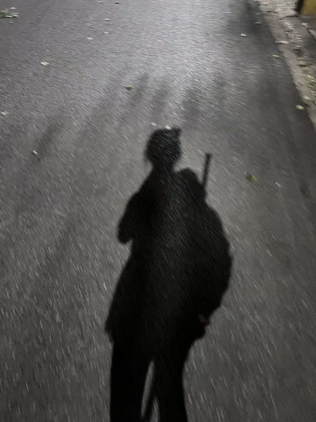 打羽毛球